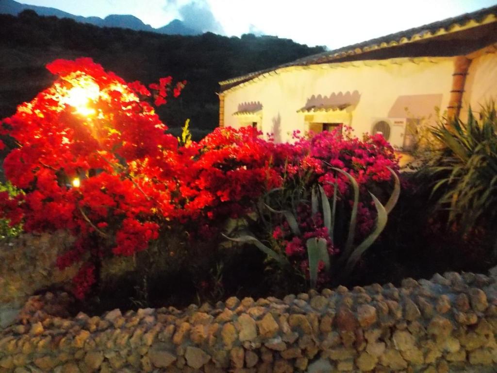 Casale Del Golfo Guest House Castellammare del Golfo Luaran gambar